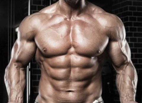 Buy Advanced Steroid Cycles II Bulking Online